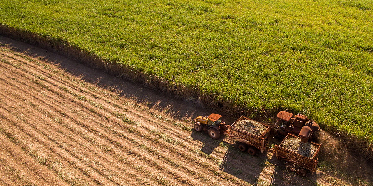 Agribusiness